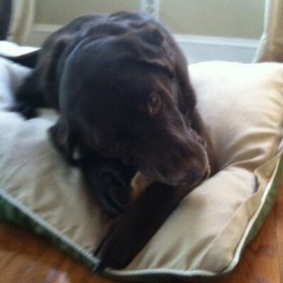 Profile Picture of Andy Artz (@BCeltic33) on Twitter