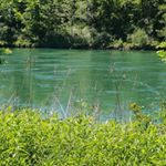 Profile Picture of Alex B. (@alex.busser) on Instagram