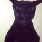 Profile Picture of Andre Beardy (@Andre-Beardy) on Facebook