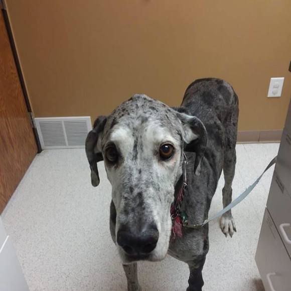 Profile Picture of Michelle Roznowski (@mroznowski) on Poshmark