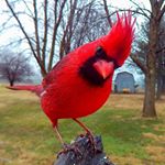 Profile Picture of Marsha Asquith (@asquithmarsha) on Instagram