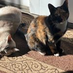 Debbie Sergiacomi Rooney - Instagram Profile Picture of Debbie Sergiacomi Rooney (@debbie.s.rooney.7) on Instagram