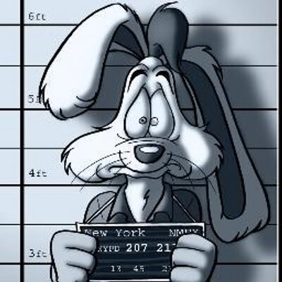 Profile Picture of Nick Stachuk (@NickRabbitEDM) on Twitter