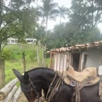 Profile Picture of Julián Arcila (@julian.arcila.316605) on Facebook