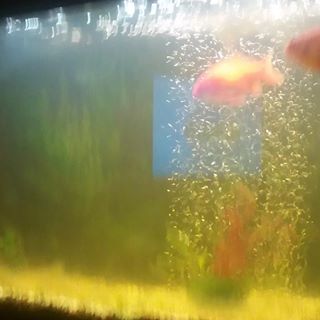 Profile Picture of Beatrice Jordans (@beatrice.jordans) on Facebook