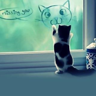 Profile Picture of Dora  Wong (@Darawong1) on Twitter