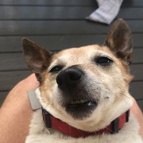 Profile Picture of Michael Giaccio (@michaelgiaccio) on Pinterest