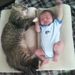 Profile Picture of Pamela Tindall (@sinoa266) on Pinterest