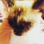 Profile Picture of Brent Castle (@brent.castle.37) on Instagram