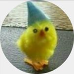 Profile Picture of Adrian Matthew Rai (@depressedcardboardbox) on Instagram