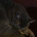 Profile Picture of Polly Maynard (@polly.maynard.9) on Facebook