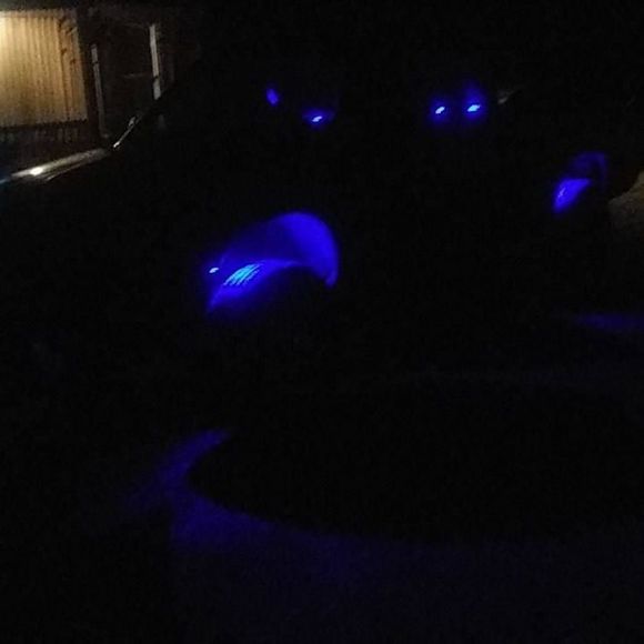 Profile Picture of Jody Purser (@jodypurser02) on Poshmark