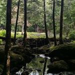 Profile Picture of Dina Solomon (@dina.cigana) on Instagram