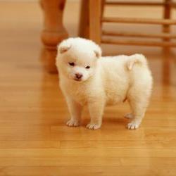 Profile Picture of Difty Nida Ulhaq (@zahran_zia) on Twitter