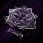 Profile Picture of Jay Schaad (@blackroze_jay) on Instagram