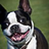 Profile Picture of David Pool Photography (@David Pool Photography) on Flickr