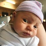 Profile Picture of Ray J Lamb (@rayjlamb) on Instagram