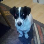 Profile Picture of Christopher Bendler (@christopher.bendler.9) on Facebook