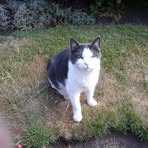 Profile Picture of Barbara Carless (@barbara.carless.7) on Facebook