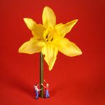 Profile Picture of Paul Rowlands (@paul._.rowlands) on Instagram