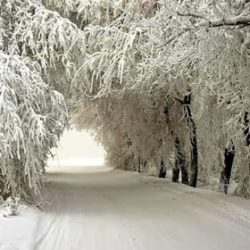 Profile Picture of Bobbie Gillespie (@wickedreddesign) on Pinterest