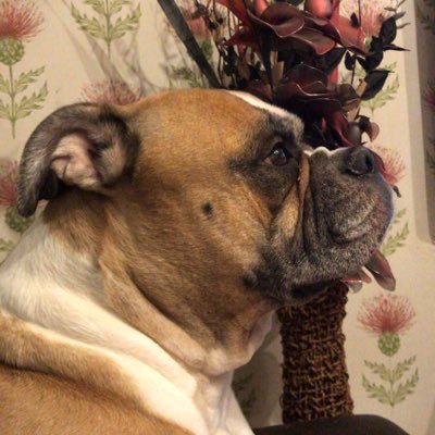 Profile Picture of JD GAMES (@joeldea99415652) on Twitter