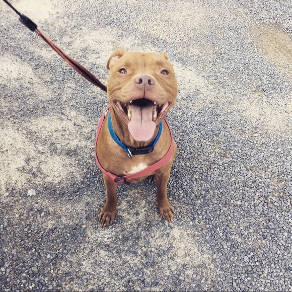 Alexis Duda - Poshmark Profile Picture of Alexis Duda (@lexiduda) on Poshmark