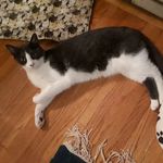 Profile Picture of Ellen P (@ellendexter) on Instagram