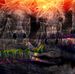 Profile Picture of Amir Yousef (@amir.yousef.1447) on Facebook