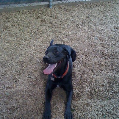 Bob Ringle - Twitter Profile Picture of Bob Ringle (@RingleBob) on Twitter