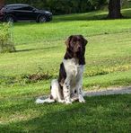 Profile Picture of Ken Alguire (@Ken-Alguire) on Facebook