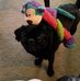 Profile Picture of Steve Mahan (@steve.mahan.161) on Facebook