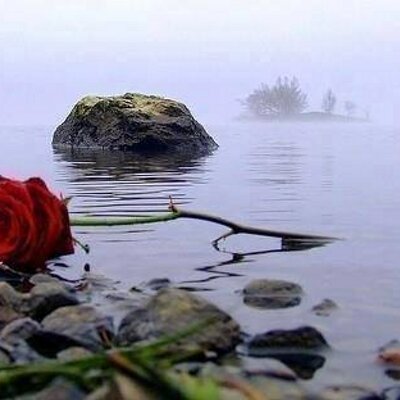 Profile Picture of ZEYAD GREABY (@ZEYADGREABY) on Twitter
