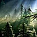 Profile Picture of Stacy Chapman (@sjchap32) on Flickr