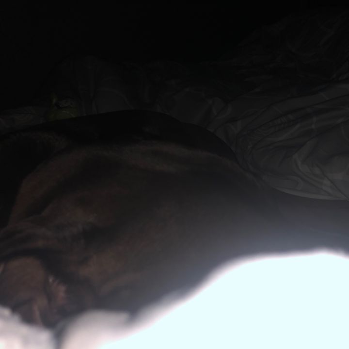 Profile Picture of nathan Alley (@nathanalley) on Tiktok