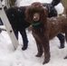 Profile Picture of Marilyn Monk (@threewheatens) on Facebook
