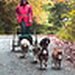 Profile Picture of Jessee Osborne (@RedneckSledDogs) on Flickr