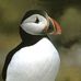 Profile Picture of John Argyle (@john.argyle.798) on Facebook