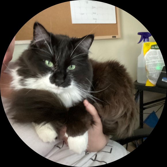 Profile Picture of Figaro Dunham (@figarosfavs) on Poshmark