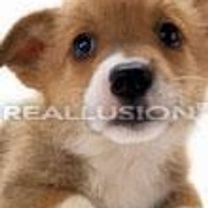 Profile Picture of Cheryl Arnold (@jewelcher) on Myspace