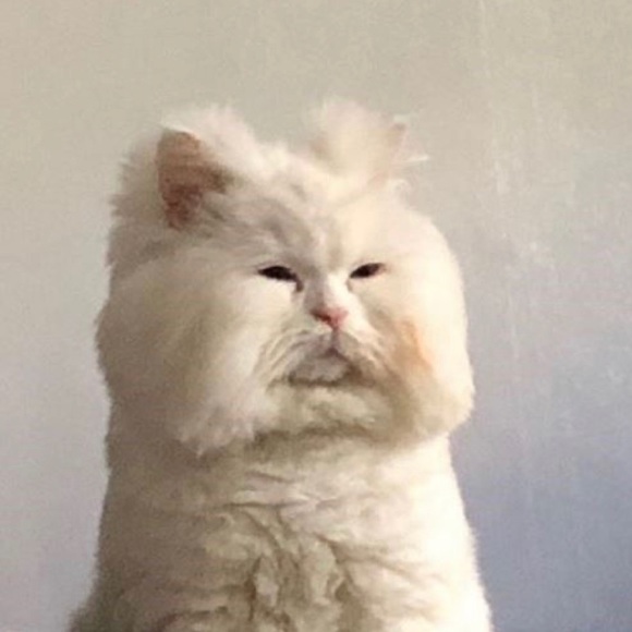 Profile Picture of Andrea Osuna (@anruos) on Poshmark