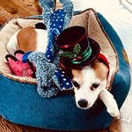 Profile Picture of Jeff Swindle (@roostrenovation) on Instagram