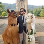 Profile Picture of Matthew Sperry (@matthewsperry) on Instagram