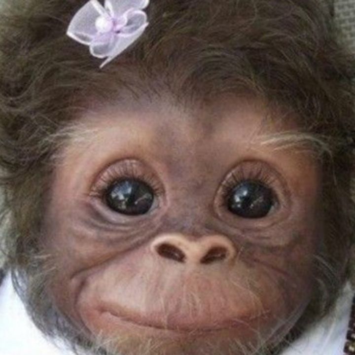 Profile Picture of RLMC JUMP MAN (@animationz2) on Tiktok