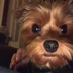 keith weekley86 - Instagram Profile Picture of keith weekley86 (@keith_weekley) on Instagram