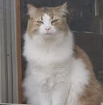 Profile Picture of Jane Delorme (@Jane-Delorme) on Facebook