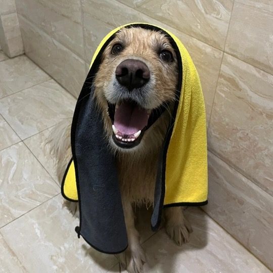 Profile Picture of Dog.burger (@dog.burger.dog) on Tiktok