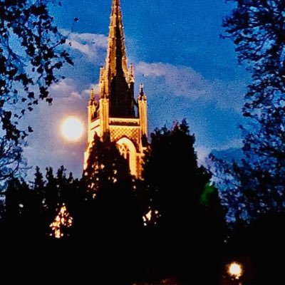 Profile Picture of Vincent Bates (@vincent39565762) on Twitter