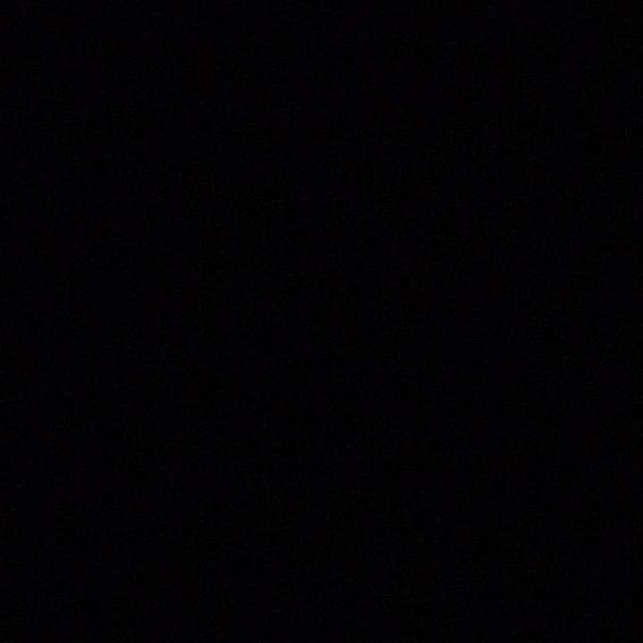 Profile Picture of Alexis Bissonnette (@alexis.bissonnette) on Tiktok