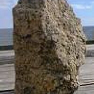 Profile Picture of Adam Lion (@adam_lion) on Twitter